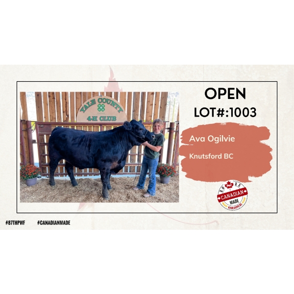 Open Beef - Ava Ogilvie - Knutsford, BC