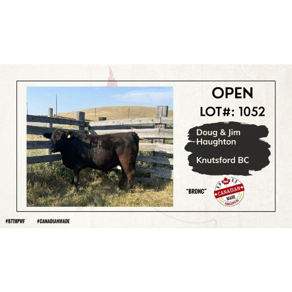Open Beef Carcass - Doug & Jim Haughton - Knutsford, BC