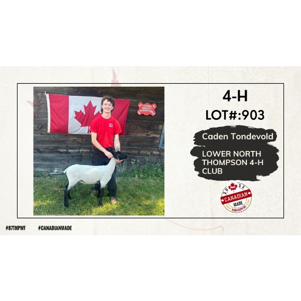 4-H Sheep Carcass - Caden Tondevold - Lower North Thompson 4-H Club