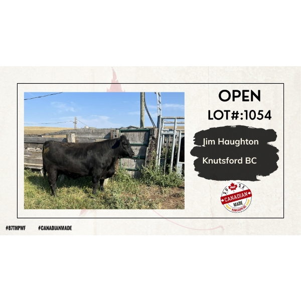 Open Beef Carcass - Jim Haughton - Knutsford, BC