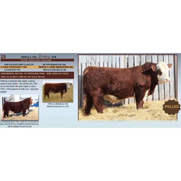 Triple-A 79K Mooney 57M