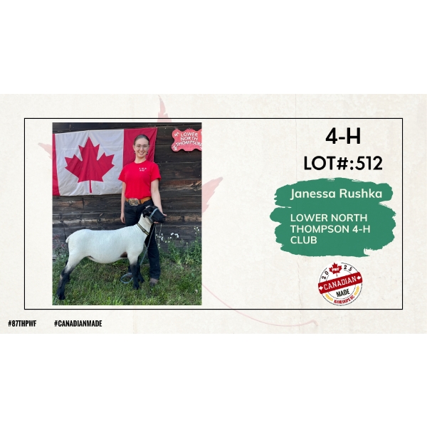 4-H Sheep - Janessa Rushka - Lower North Thompson 4-H Club