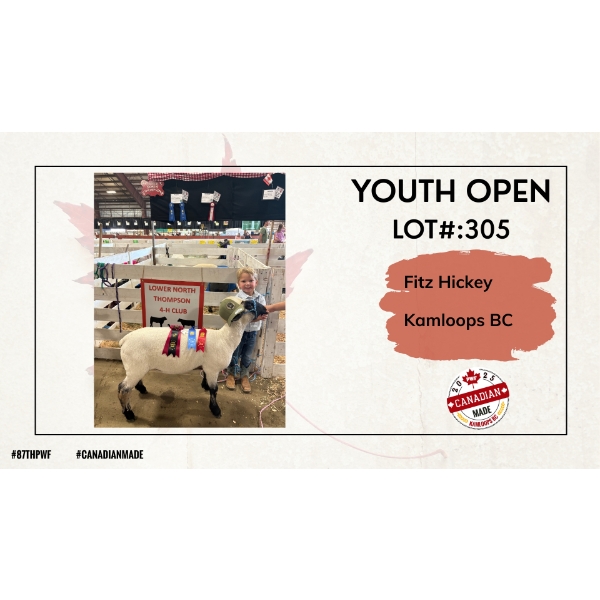 Youth Open Sheep - Fitz Hickey - Kamloops BC