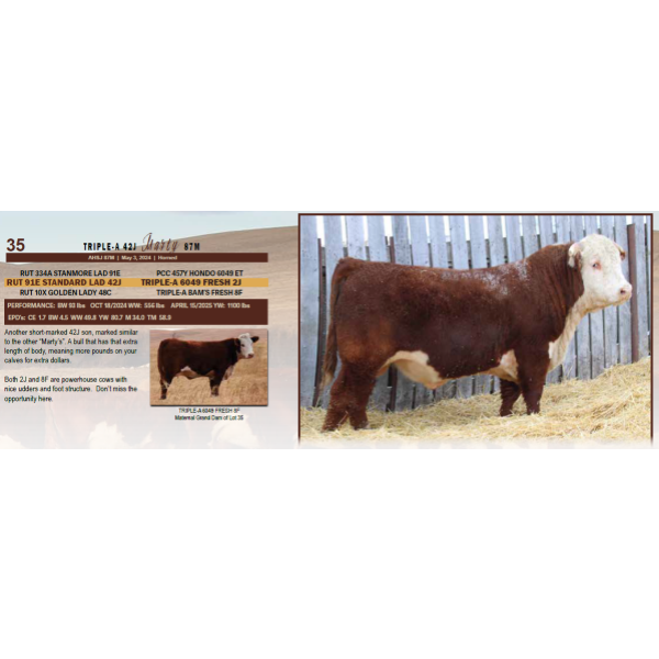 Triple-A 42J Marty 87M