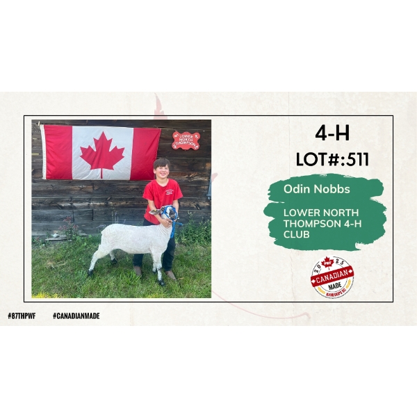 4-H Sheep - Odin Nobbs - Lower North Thompson 4-H Club