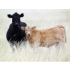 Image 7 : GW Murray Ranches - 515# October Delivery Steer Calves - 115 Head (Tompkins, SK)