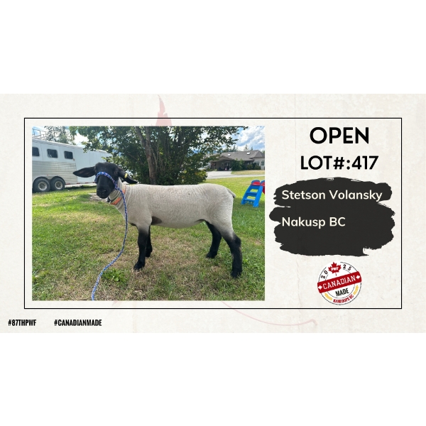 Open Sheep - Stetson Volansky - Nakusp BC