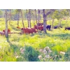 Image 13 : Ron Holmes - 550# October Delivery Steer Calves - 100 Head (Cochrane, AB)