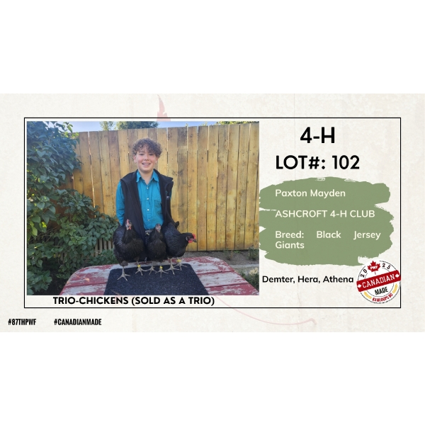 4-H Poultry - Paxton Mayden - Ashcroft 4-H Club