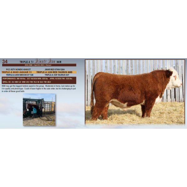 Triple-A 7J Minute Man 86M