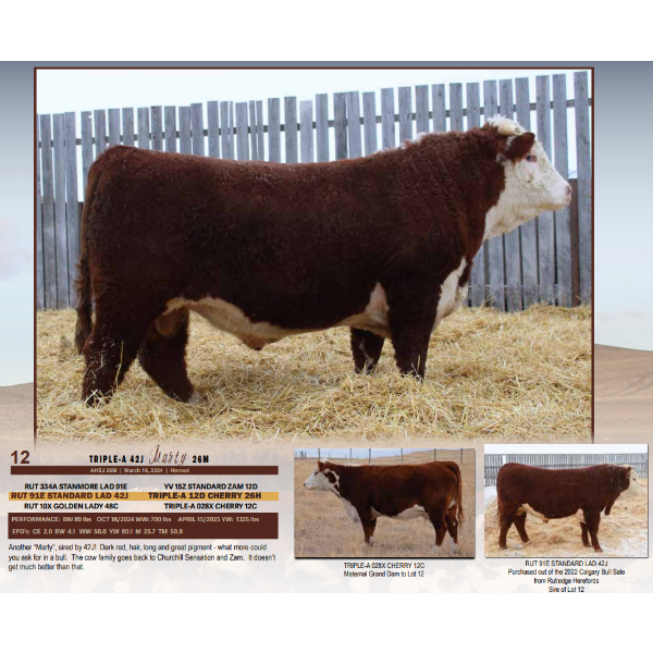 Triple-A 42J Marty 26M