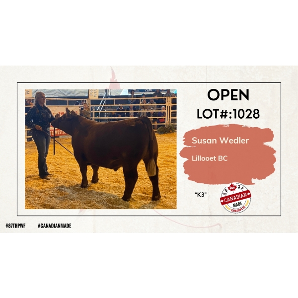Open Beef - Susan Wedler - K3 - Lillooet, BC