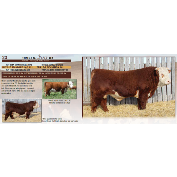 Triple-A 42J Marty 21M