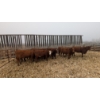 Image 1 : McComish Ranch - 10 Red/RBF Sim X Bred Heifers April/May Calving  (Stettler, AB)