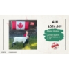 Image 1 : 4-H Sheep - Blaire Hickey - Lower North Thompson 4-H Club