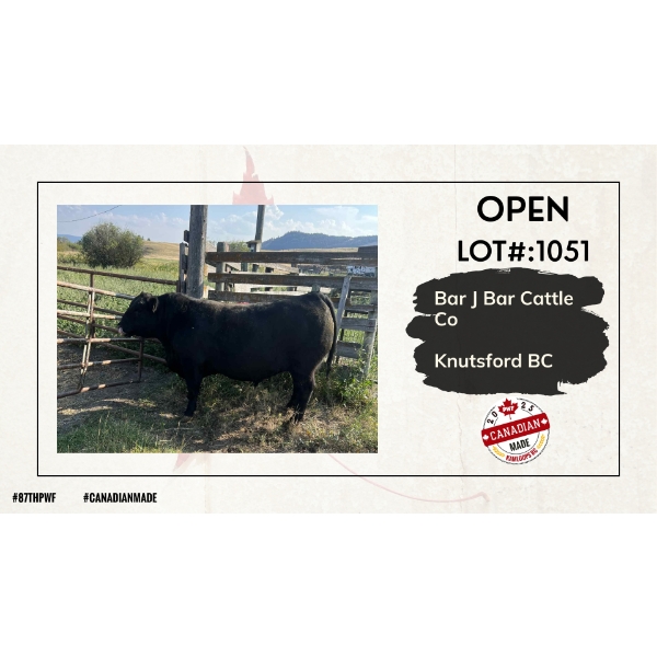 Open Beef Carcass - Bar J Bar Cattle Co - Knutsford, BC