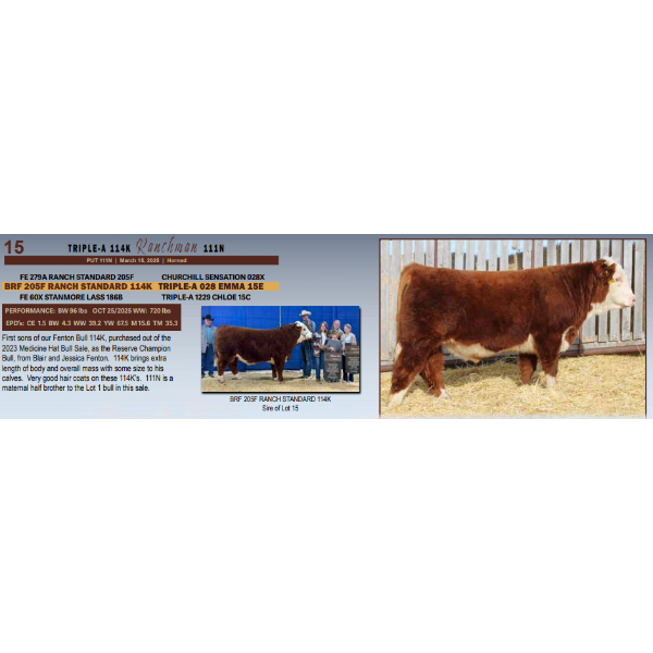 Triple-A 114K Ranchman 111N