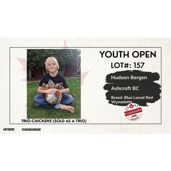 Youth Open Poultry - Hudson Bergen - Ashcroft, BC