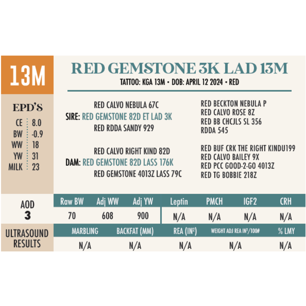 RED GEMSTONE 3K LAD 13M