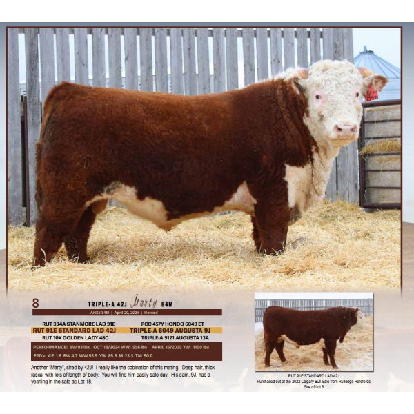 Triple-A 42J Marty 84M