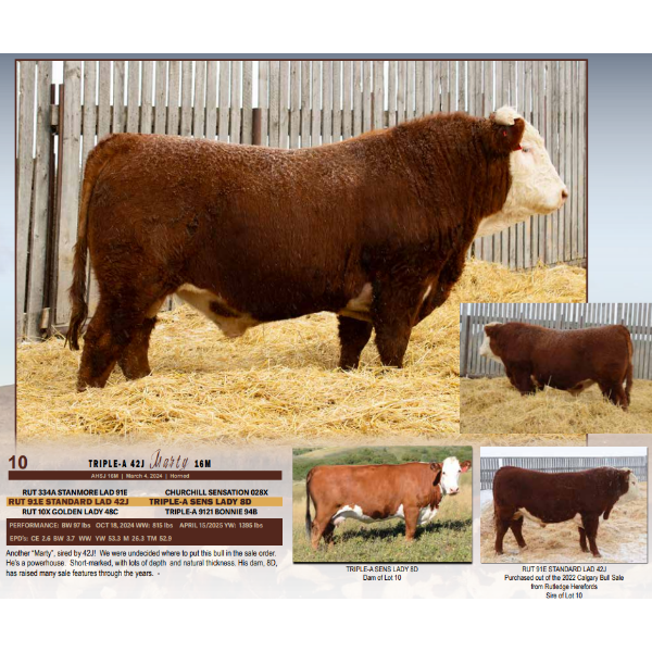 Triple-A 42J Marty 16M