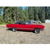 Image 3 : 1967 FORD FAIRLANE 500XL CONVERTIBLE