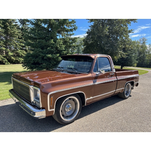 1979 CHEVROLET SILVERADO