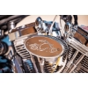 Image 18 : 2007 OCC T-REX SOFTAIL 
