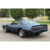 Image 11 : NO RESERVE 1981 PONTIAC TRANS AM