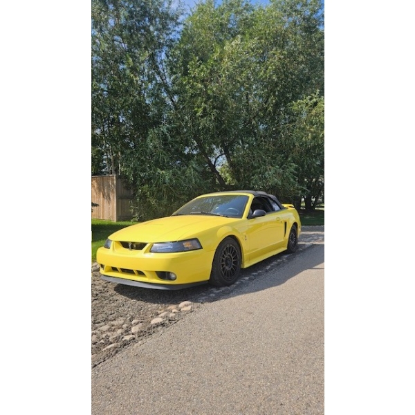2001 FORD MUSTANG COBRA CONVERTIBLE