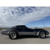 Image 8 : 1979 CHEVROLET CORVETTE 