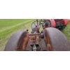 Image 6 : MASSEY-HARRIS 444