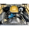 Image 21 : 1978 Y88 GOLD SPECIAL EDITION TRANS AM