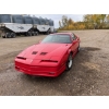 Image 1 : 1988 PONTIAC FIREBIRD TRANS AM GTA