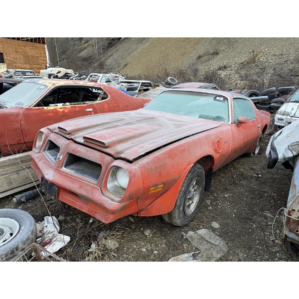 1980 PONTIAC TRANS AM 