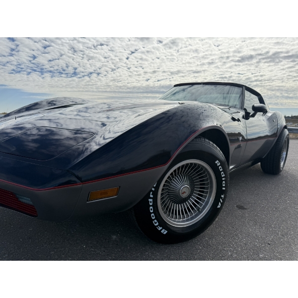 1979 CHEVROLET CORVETTE 
