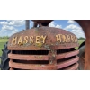 Image 10 : MASSEY-HARRIS CHALLENGER