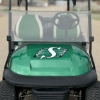 Image 2 : 2011 CUSTOM ELECTRIC CLUB CAR