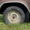 Image 5 : 15 –NO RESERVE 1975 FORD F-150 LONGBOX 2WD