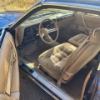 Image 7 : NO RESERVE 1979 CHRYSLER CORDOBA T-TOP