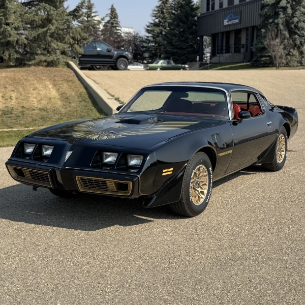 1979 PONTIAC FIREBIRD