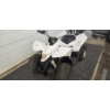 Image 3 : 2008 SUSKI ATV 