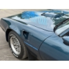 Image 13 : NO RESERVE 1981 PONTIAC TRANS AM