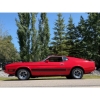 Image 8 : 1973 FORD MUSTANG MACH I 351 COBRA JET