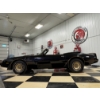 Image 7 : 1980 PONTIAC TRANS AM TURBO CONVERTIBLE