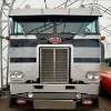 Image 4 : 1979 PETERBILT 353