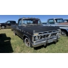 Image 3 : 1976 FORD F-150