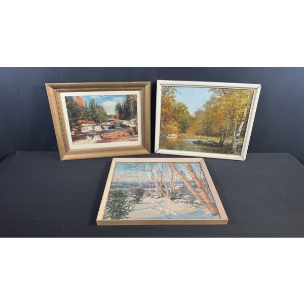3 ASSORTED NATURE PRINTS