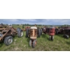 Image 7 : MASSEY-HARRIS 22