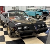 Image 5 : 1980 PONTIAC TRANS AM TURBO CONVERTIBLE